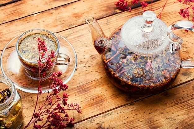 Wild tea harvest in Cambodia's mountain regions